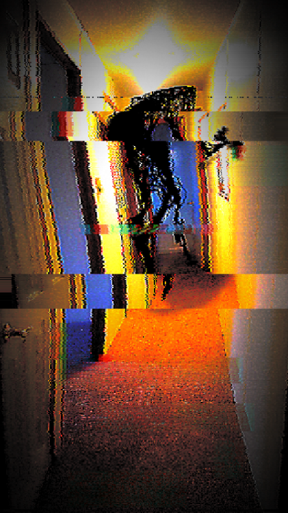 circuitinhallway.webp
